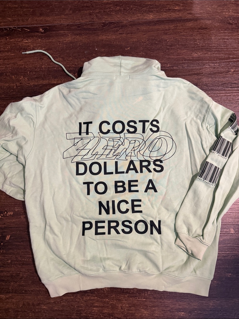 The Mayfair group Women’s Light Mint Graphic Hoodie - 'It Costs Zero Dollars'